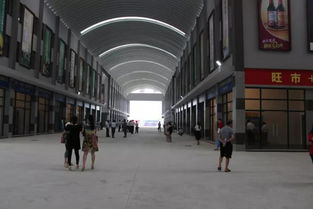 小池 國際 農(nóng)產(chǎn)品物流港打造 新九黃干調(diào)副食大市場