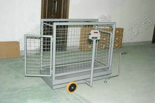 高原放養牦?？梢苿由蟪?精準稱重助力畜牧業發展