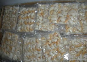 鳥蛤 海洋中的珍饈與生態(tài)守護(hù)者