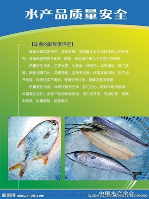 水產(chǎn)品設(shè)計圖 從海洋到餐桌的藝術(shù)與科學(xué)