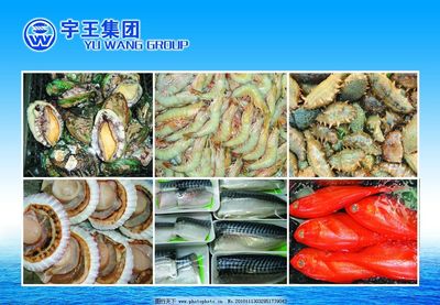 水產品 大海的饋贈與人類的智慧