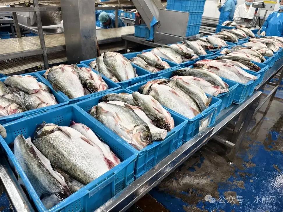[慶祝] 湖北博奧食品股份,專業水產品加工