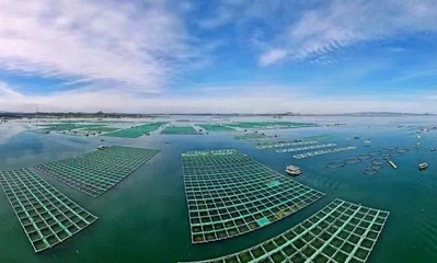 市海洋與漁業局:福建漳州多樣化海水養殖模式鍛造百億漁業